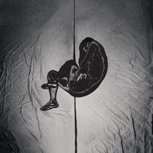 bluedgv制片厂官网最新版
