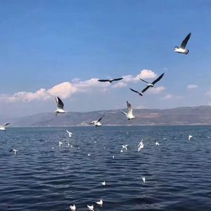 bluedgv制片厂官网最新版
